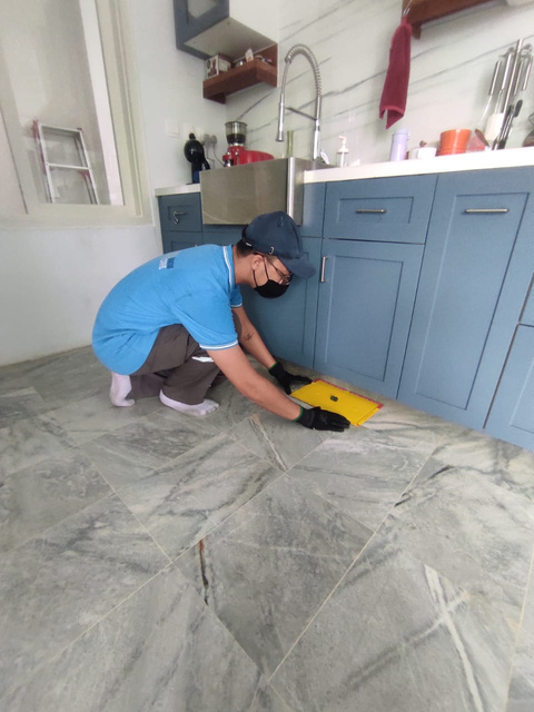 Pictures of Pest Control